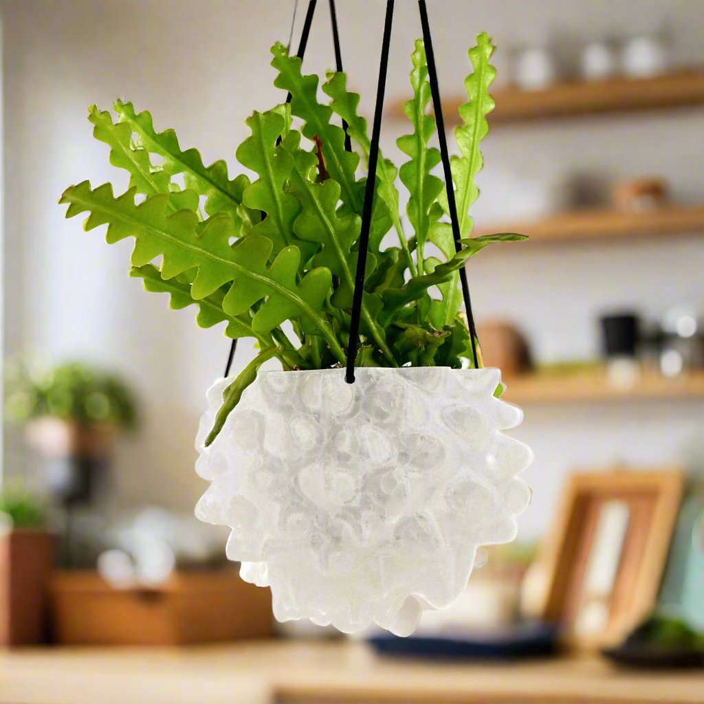 Hanging creature orb planter pot in white with textured surface and green leafy plant