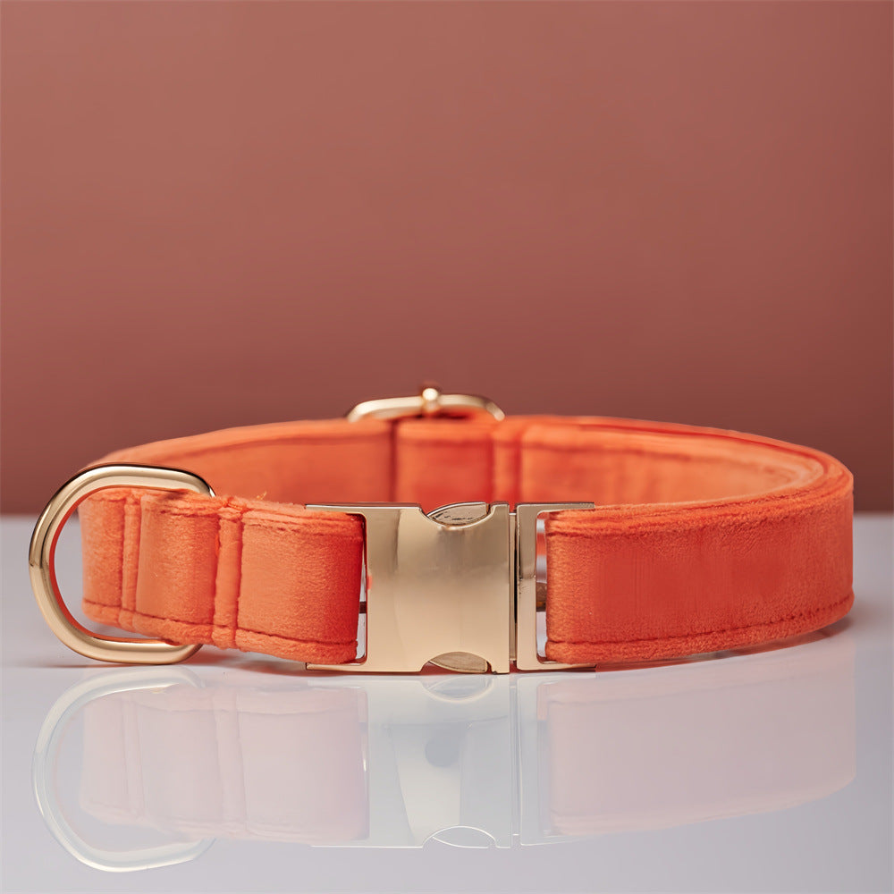 Orange velvet dog collar with clasp and D-ring, gold-tone hardware
