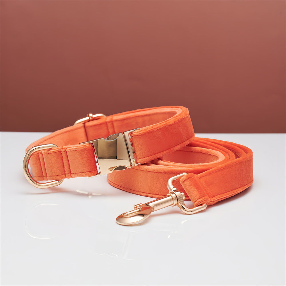 Orange velvet dog collar with matching leash, gold-tone hardware