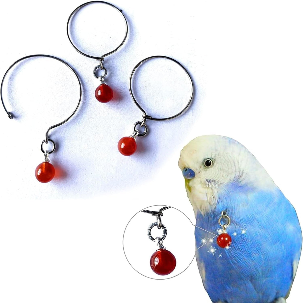Bird collar necklace with a red pendant, shown beside a blue budgerigar