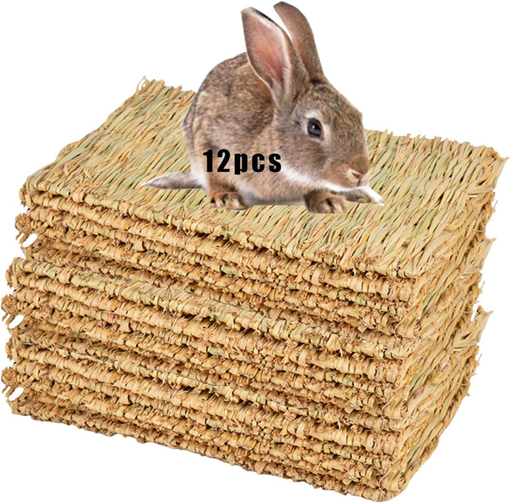 12-piece grass woven chew mat for small pets, straw texture, rectangular