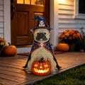 Bulldog witch Halloween statue with glowing orange jack-o-lantern and purple-black hat