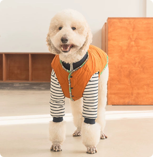 Orange quilted thermal pet jacket with striped sleeves and green-trim zipper