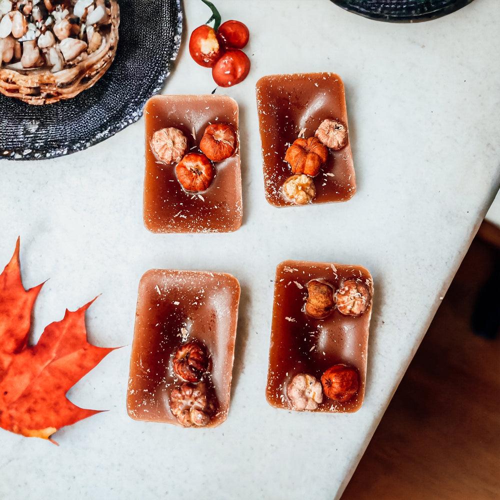Assorted XL pumpkin pecan wax melt squares on a light surface, dark amber with embeds.