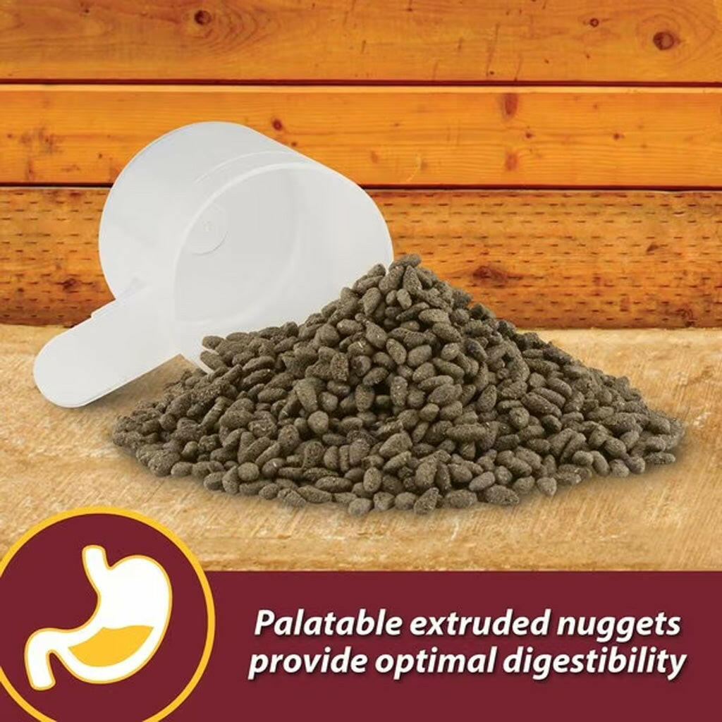 Skin and coat supplement pellets in white scoop on wooden surface