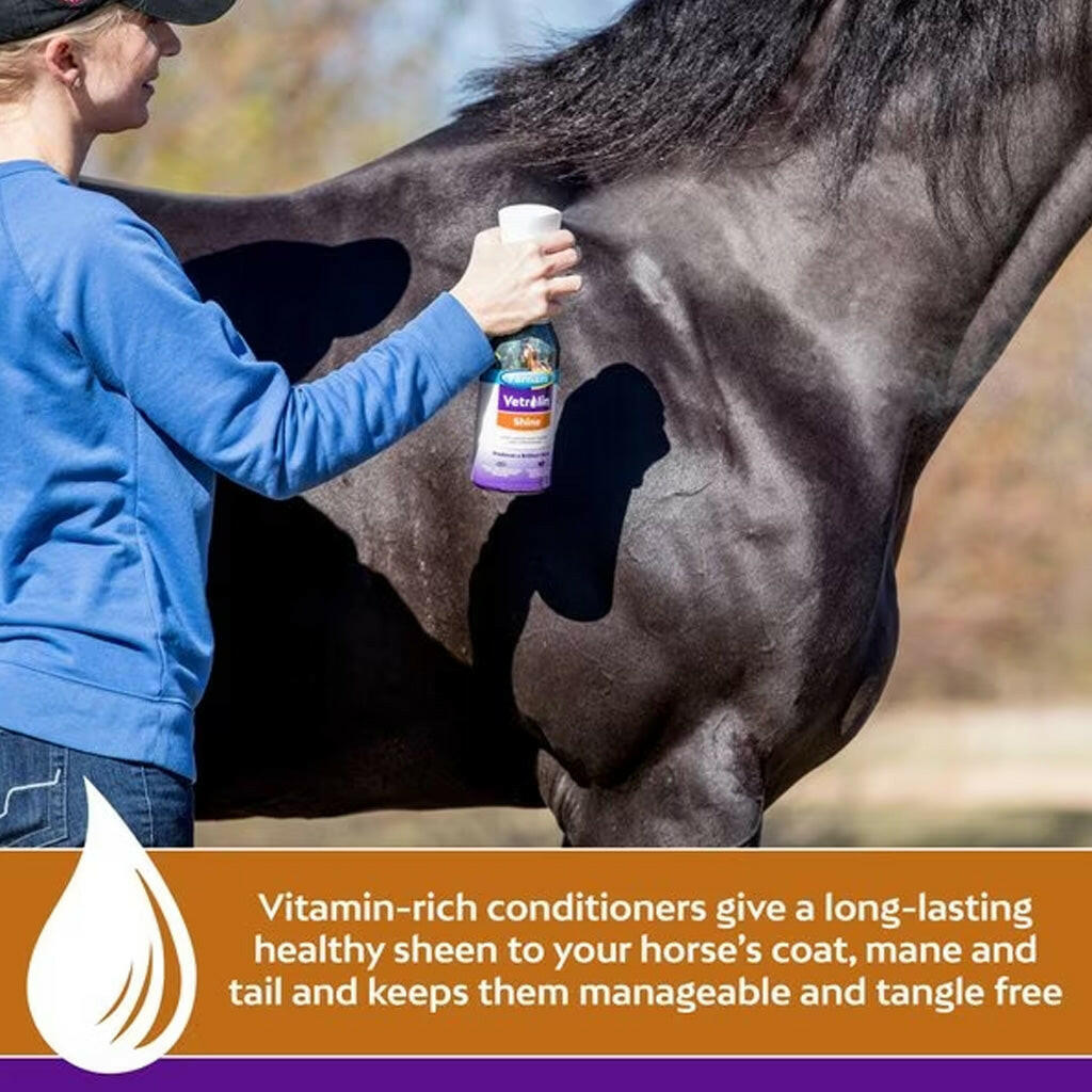 Person spraying coat polish on gray horse, vitamin-rich conditioner spray bottle