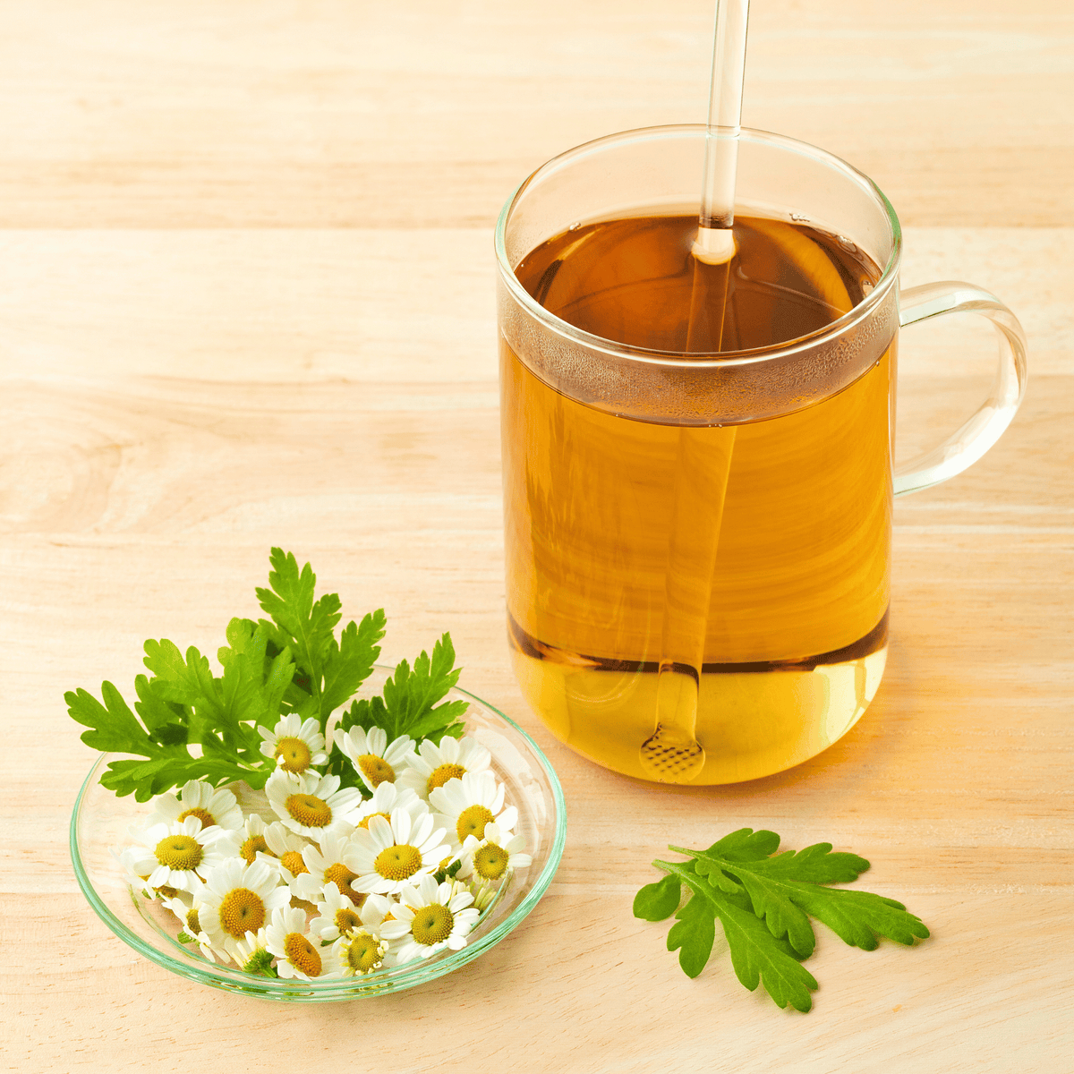 Feverfew flowers beside a cup of herbal tea with amber color