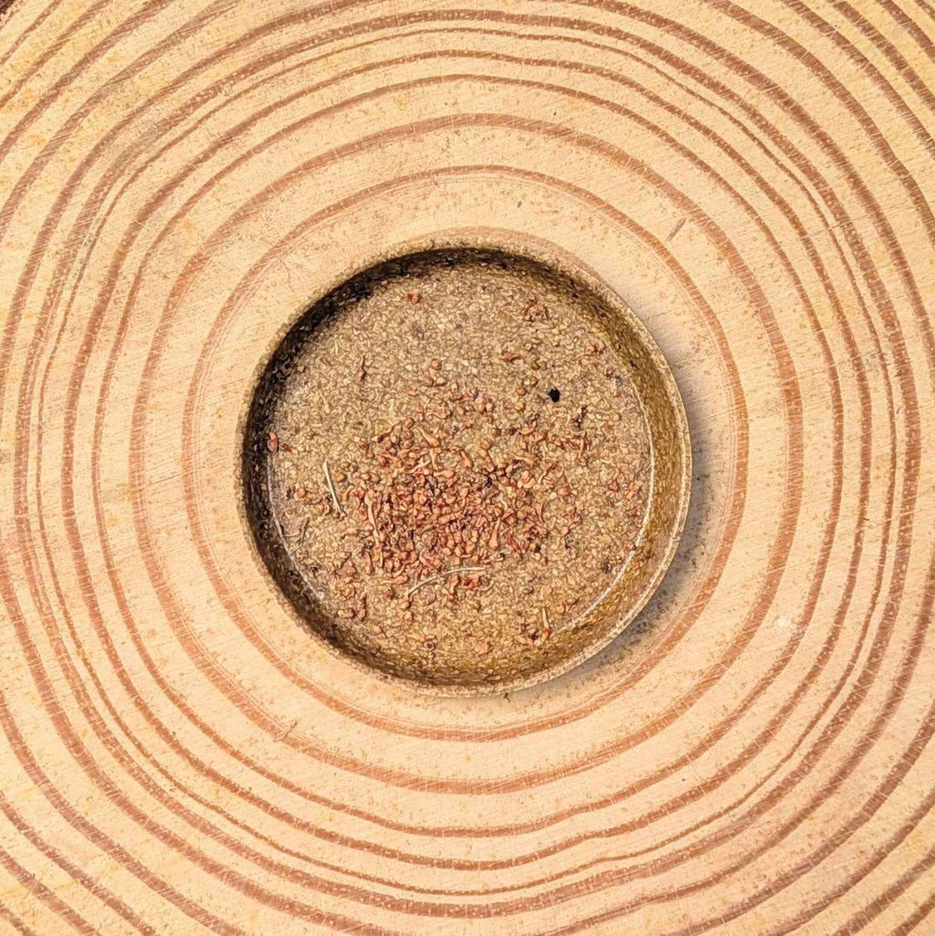 Lofty fig seeds in a circular tray, light brown seed mix with scattered seeds