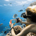 Waterproof phone case with clear front and orange seal, holding a phone underwater.