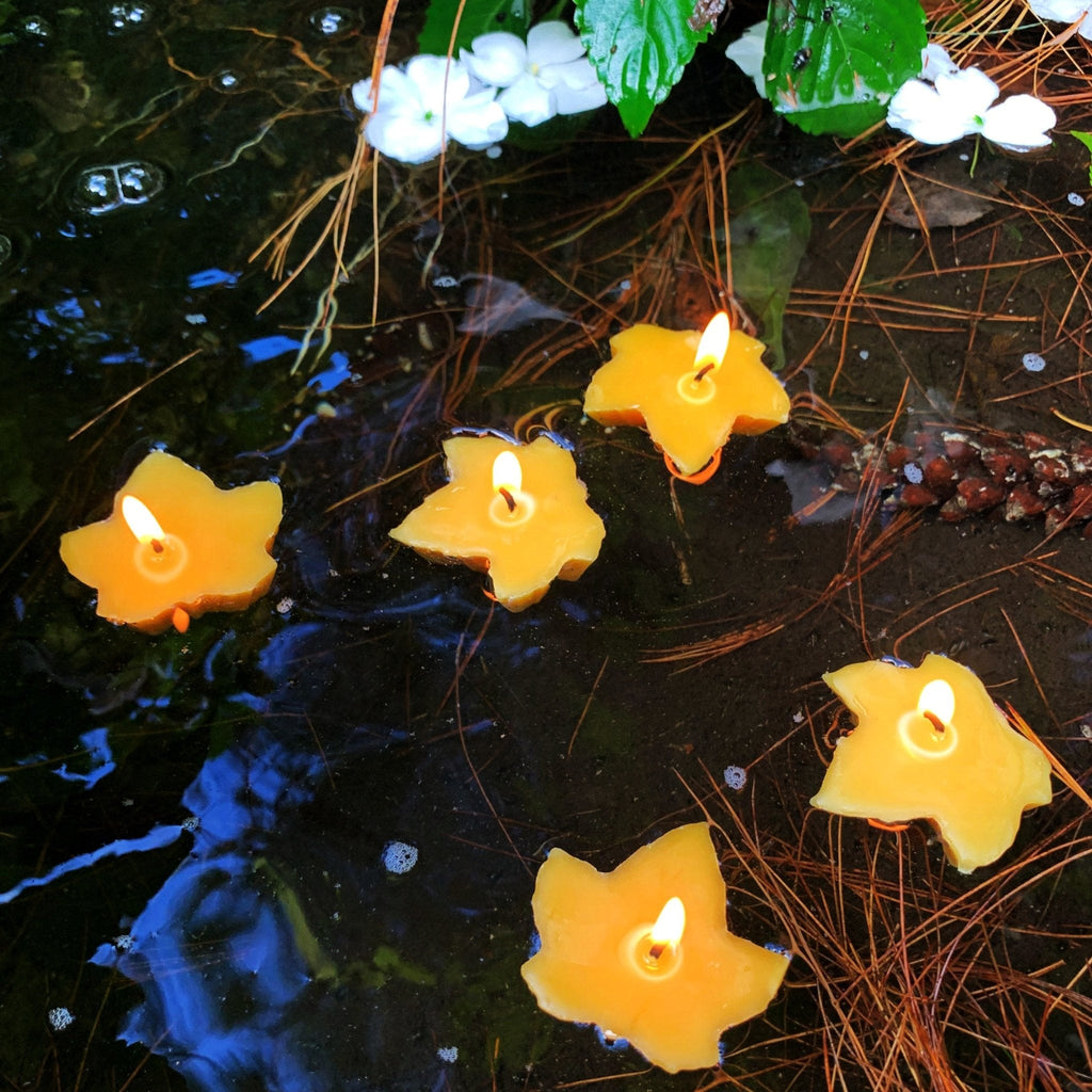 Floating maple leaf beeswax candles, four yellow leaf shapes with burning wicks