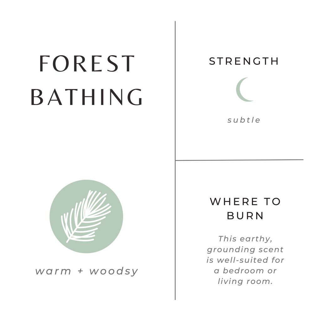 Scent strength info card for warm, woody, grounding candle scent