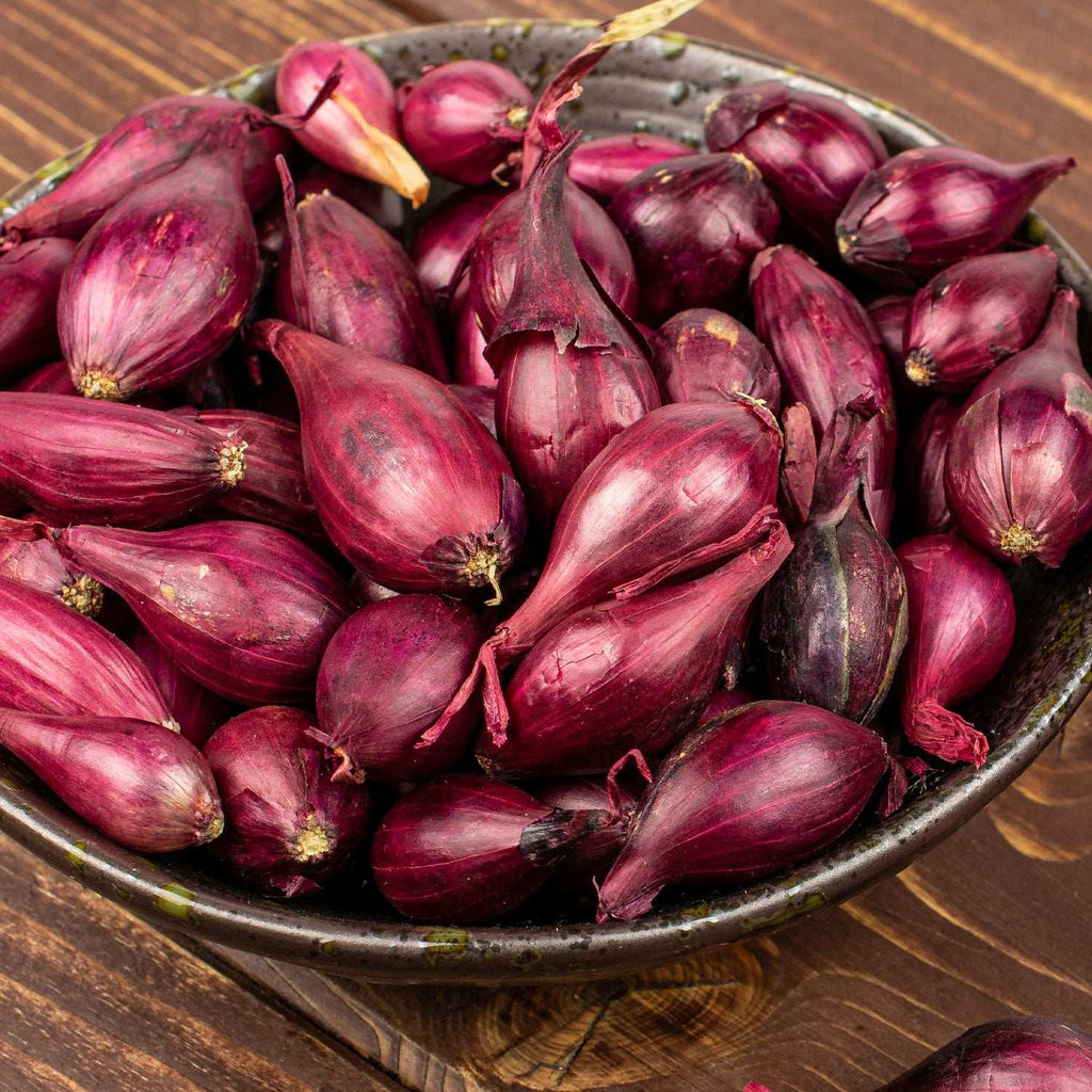 Red onion sets with elongated reddish-purple bulbs and papery skins
