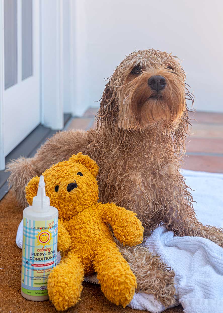 Calming™ puppy and dog conditioner bottle with dropper pump beside sitting dog