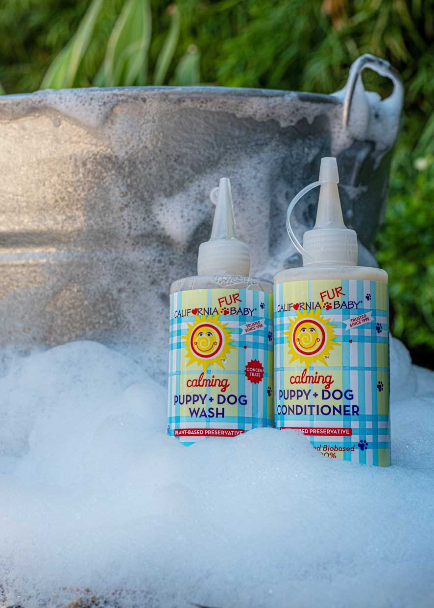 Two puppy and dog wash bottles with pump nozzles, in frothy water