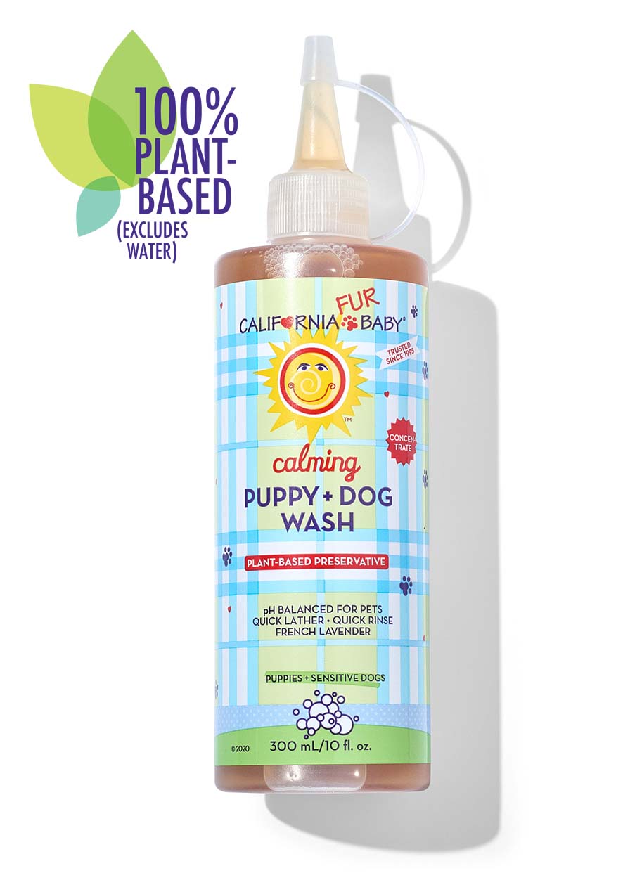 Puppy and dog wash bottle with pump, amber liquid, blue-and-yellow label