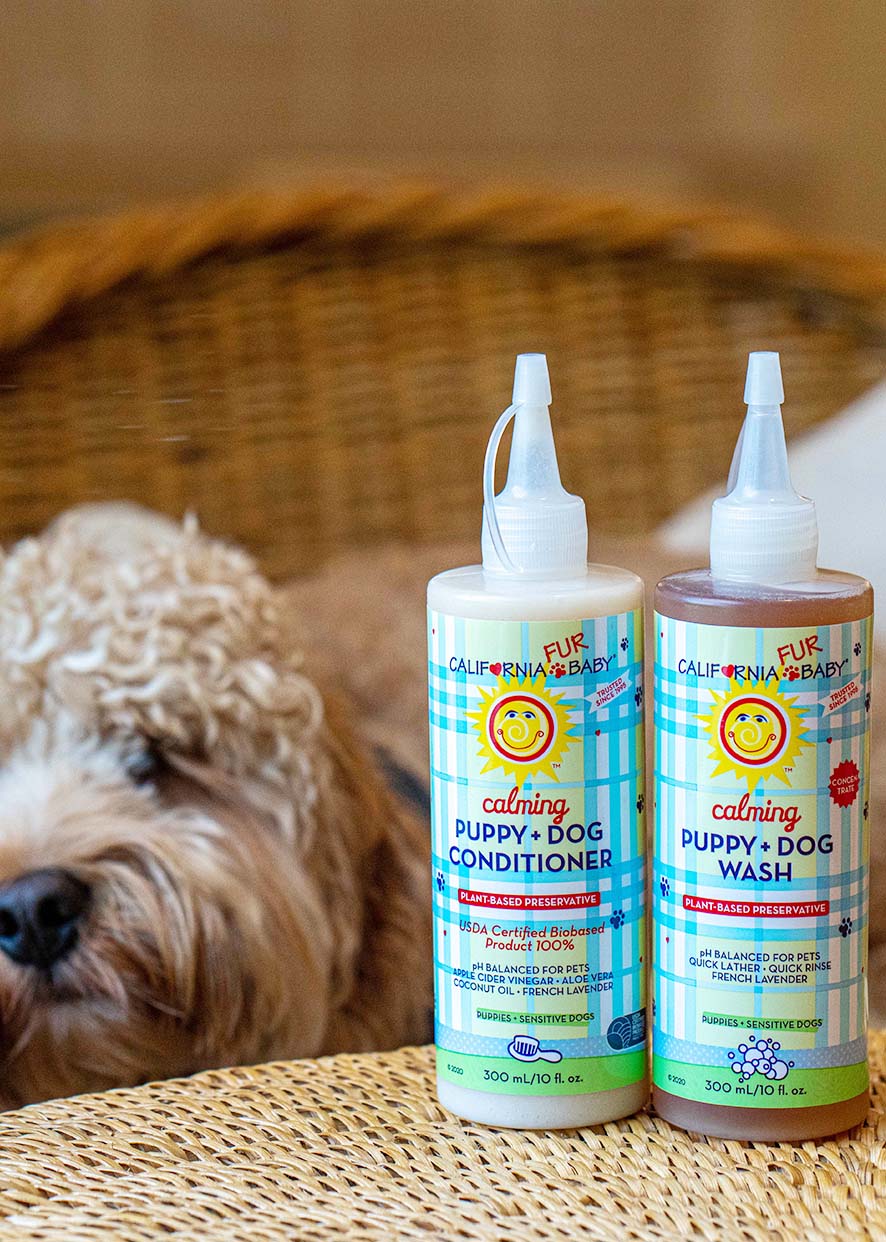 Two Calming puppy and dog wash and conditioner bottles on table with small dog