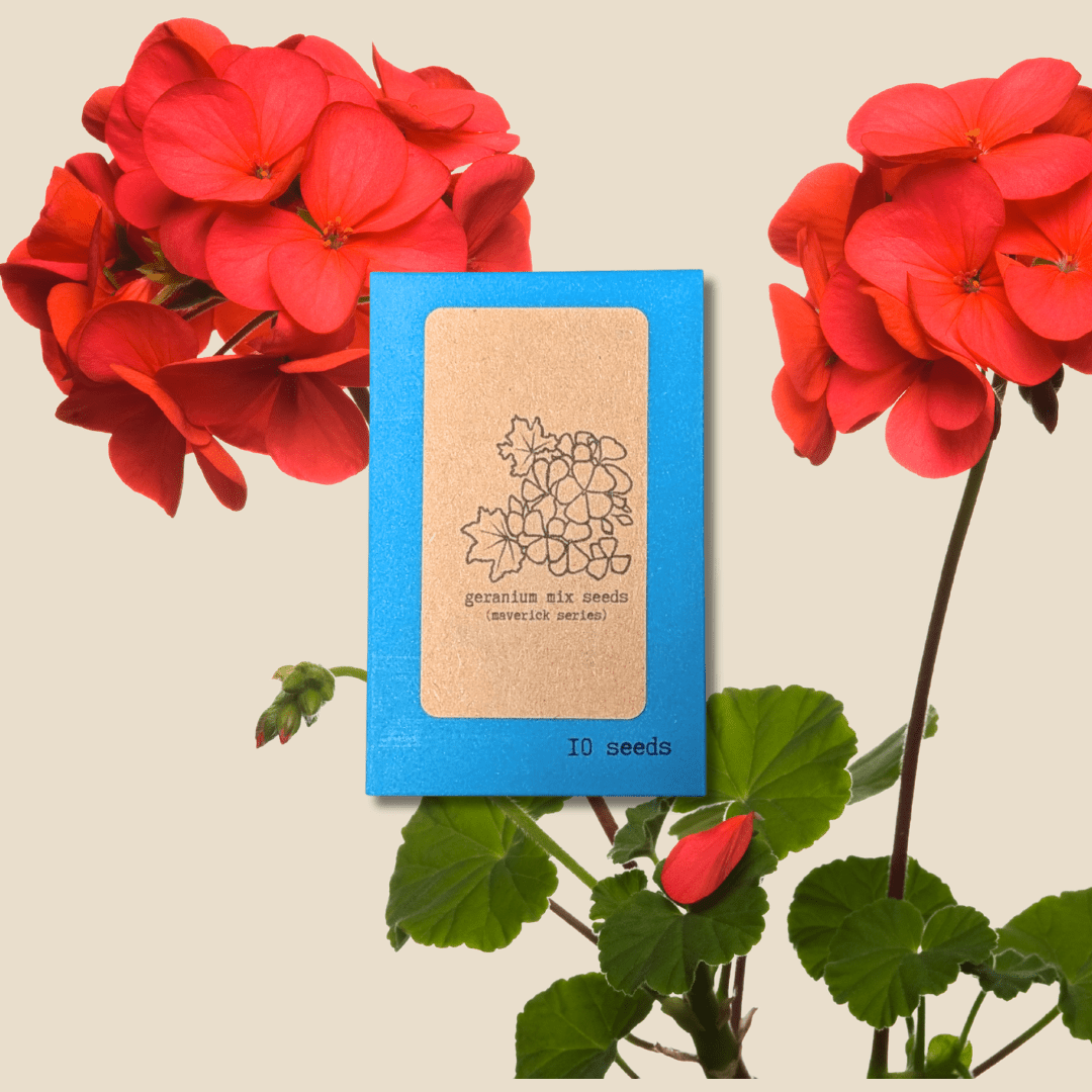 Geranium seed packet with red geranium flowers and green stems