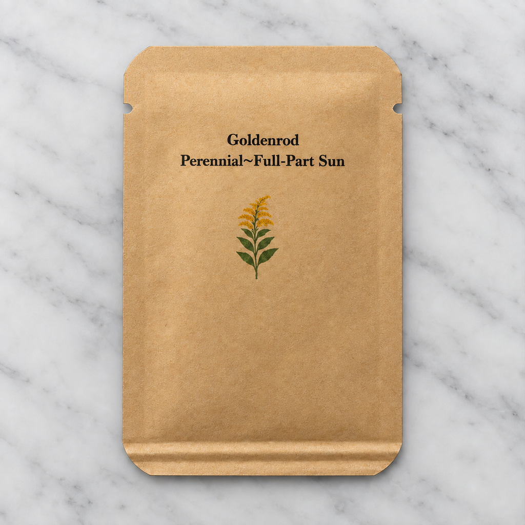 Tall Goldenrod Seeds (Solidago altissima)