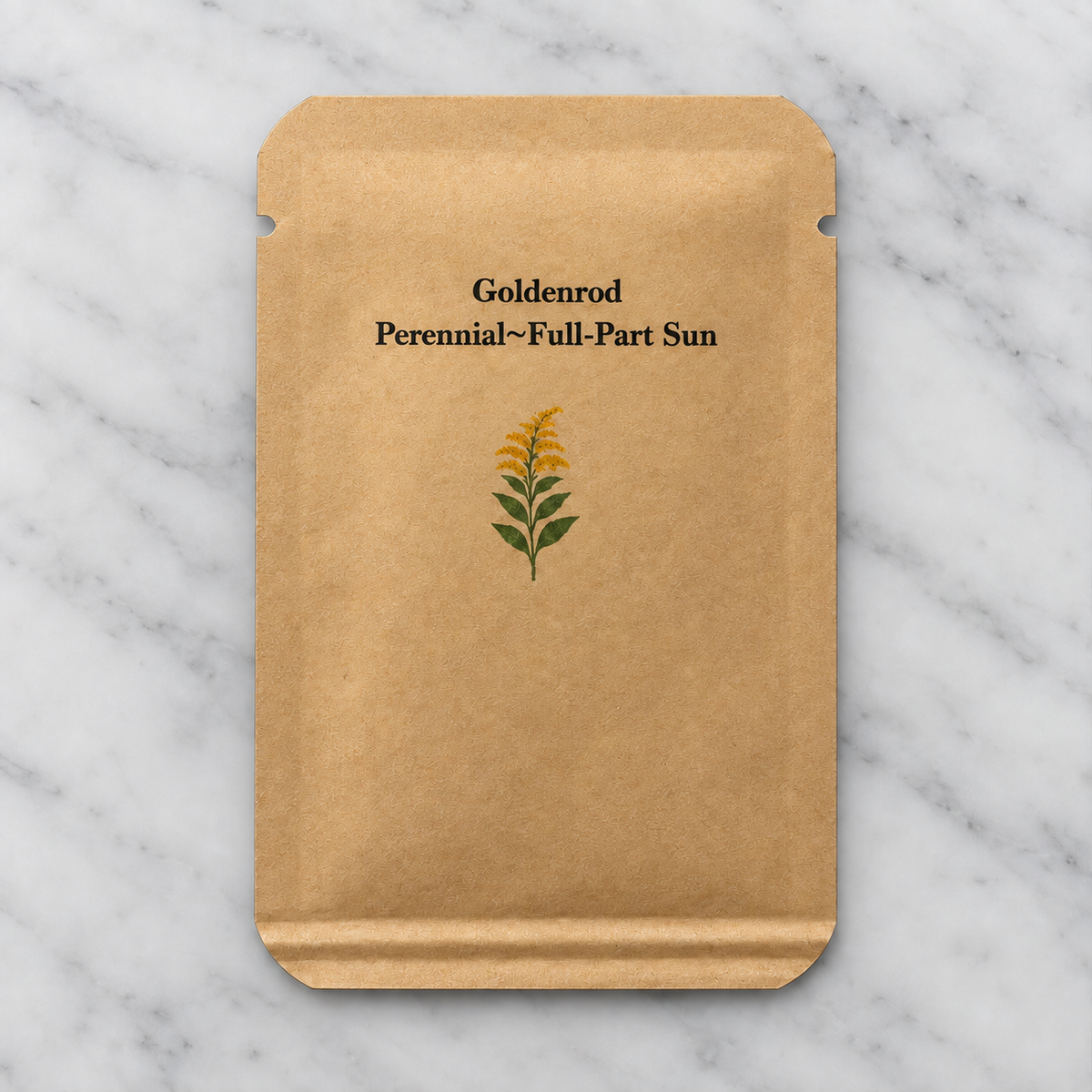 Tall Goldenrod Seeds (Solidago altissima)