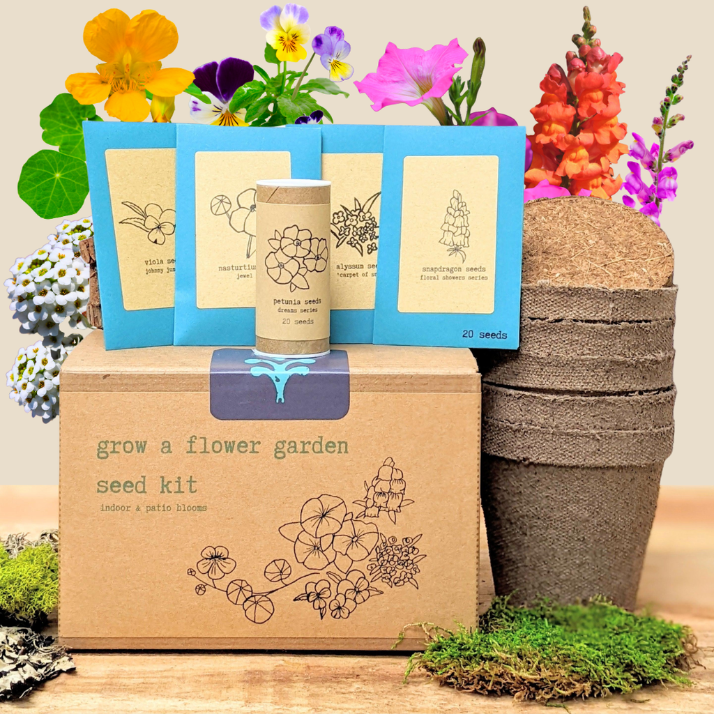 Indoor flower seed kit in kraft cardboard box with blue seed-pack inserts