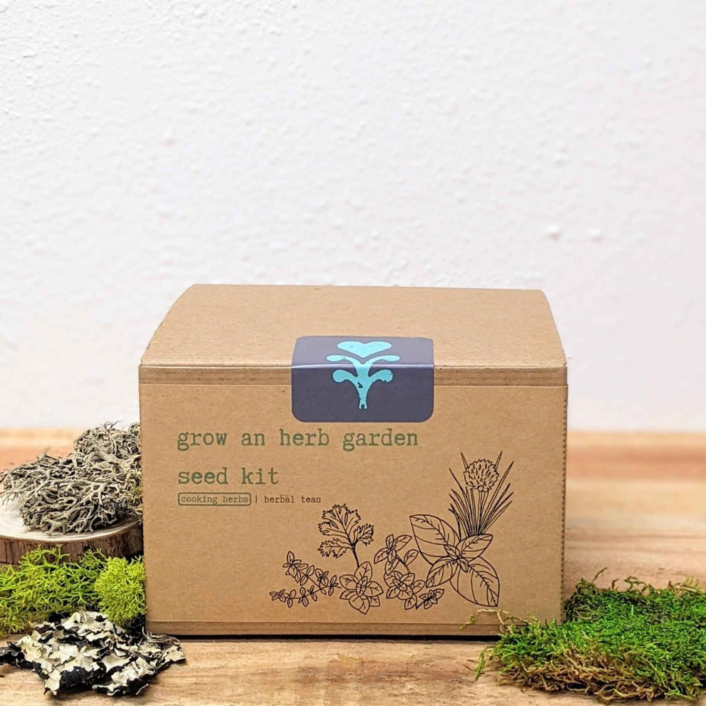 Herb garden seed kit box with blue label and front herb illustration