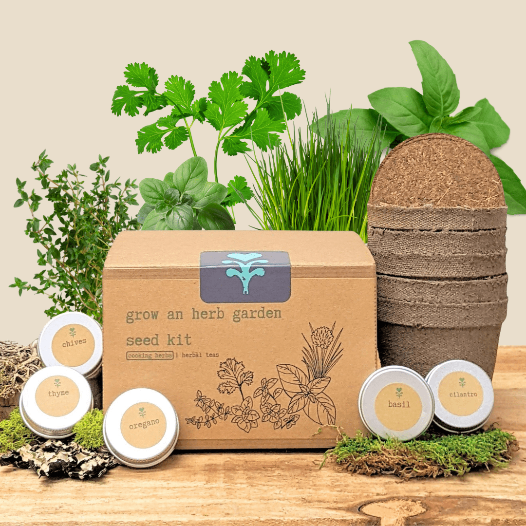 Herb garden seed kit box with blue plant logo and botanical line art