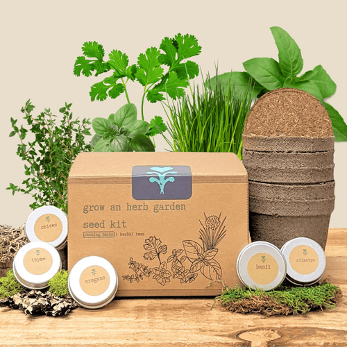 Herb garden seed kit box with blue plant logo and botanical line art