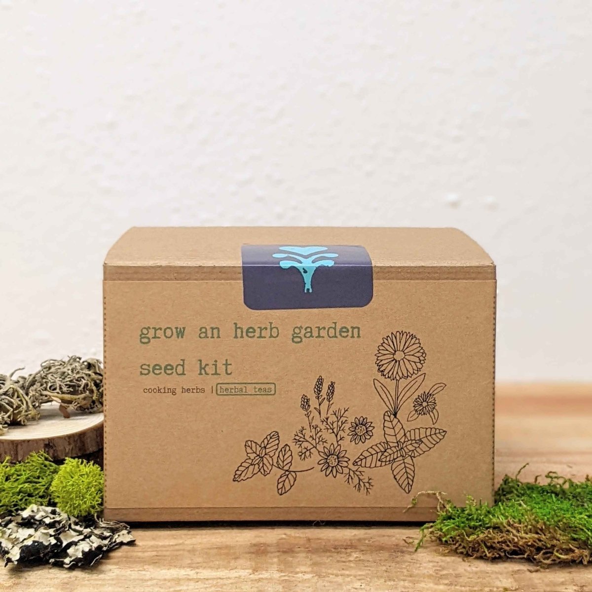 Herb garden seed kit cardboard box with blue handle icon and printed herbs