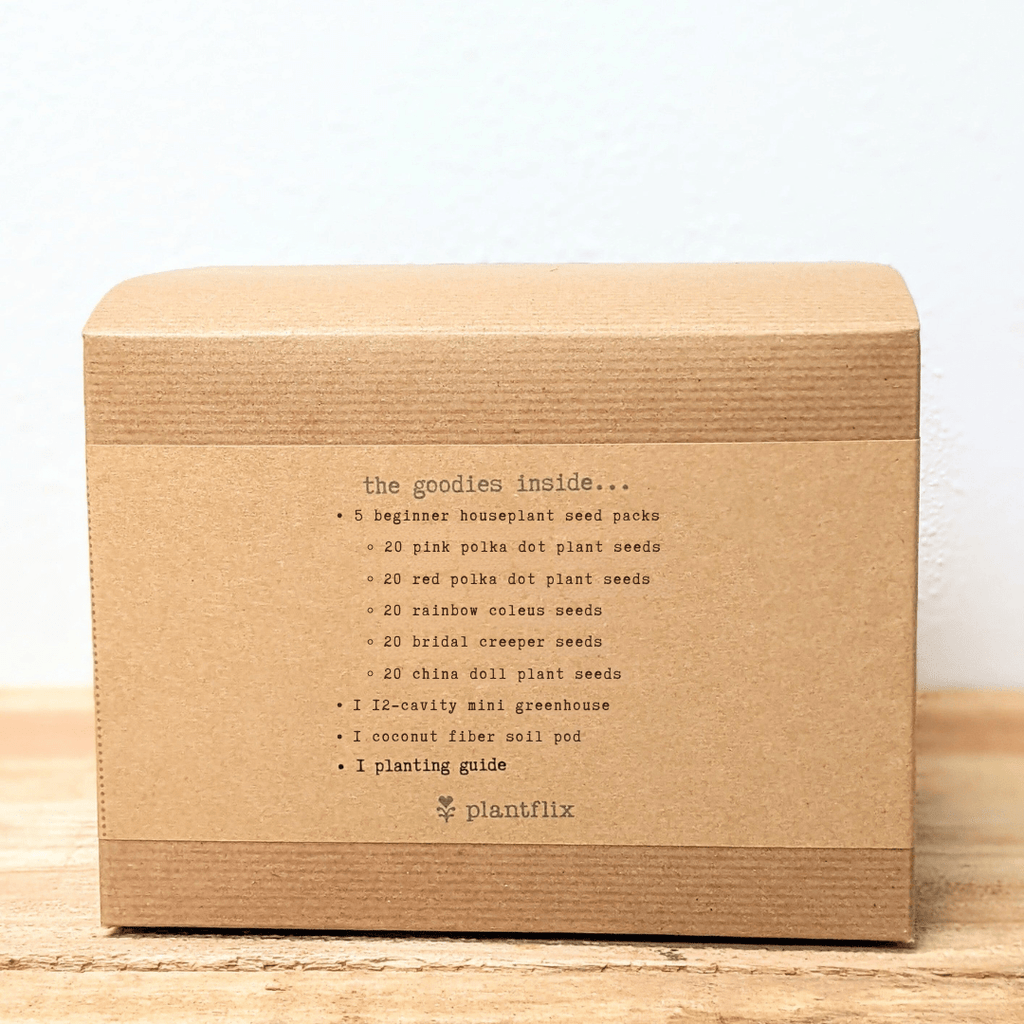 Houseplant seed kit box back panel with contents list and plantflix branding
