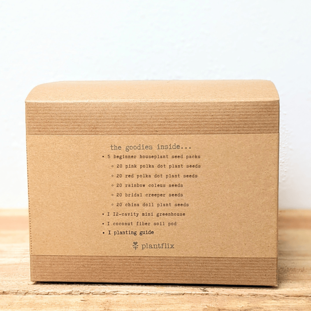 Houseplant seed kit box back panel with contents list and plantflix branding