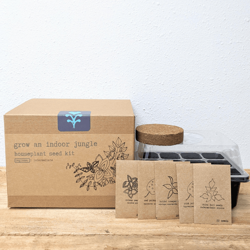 Houseplant seed kit package with cardboard box, seed packets, and planting tray