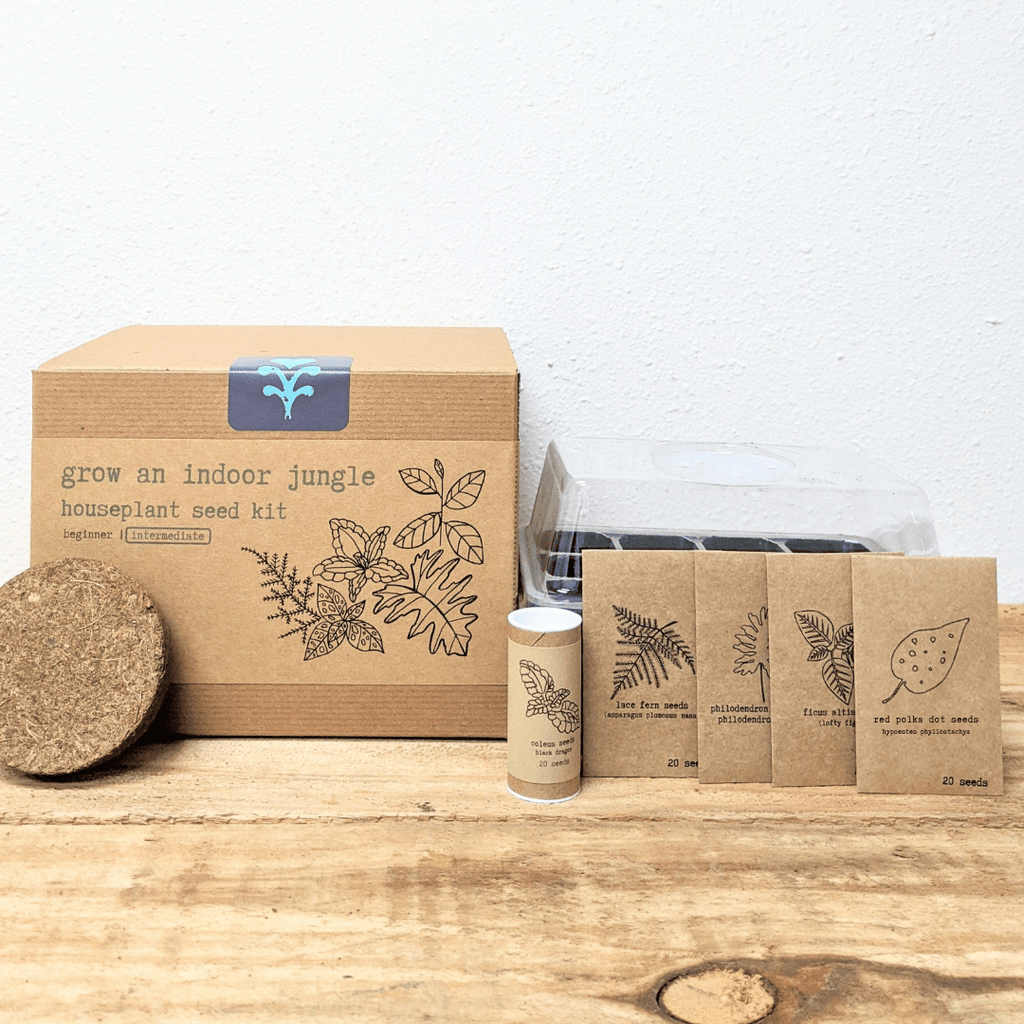Houseplant seed kit with cardboard box, seed packets, and clear seedling tray