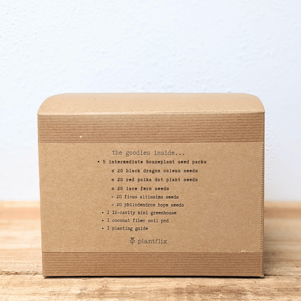 Houseplant seed kit box back panel listing plant types and planting guide