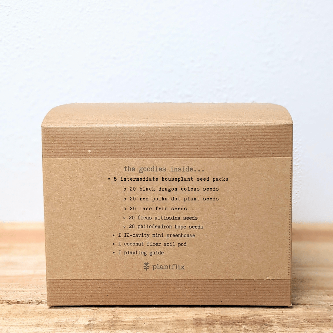 Houseplant seed kit box back panel listing plant types and planting guide