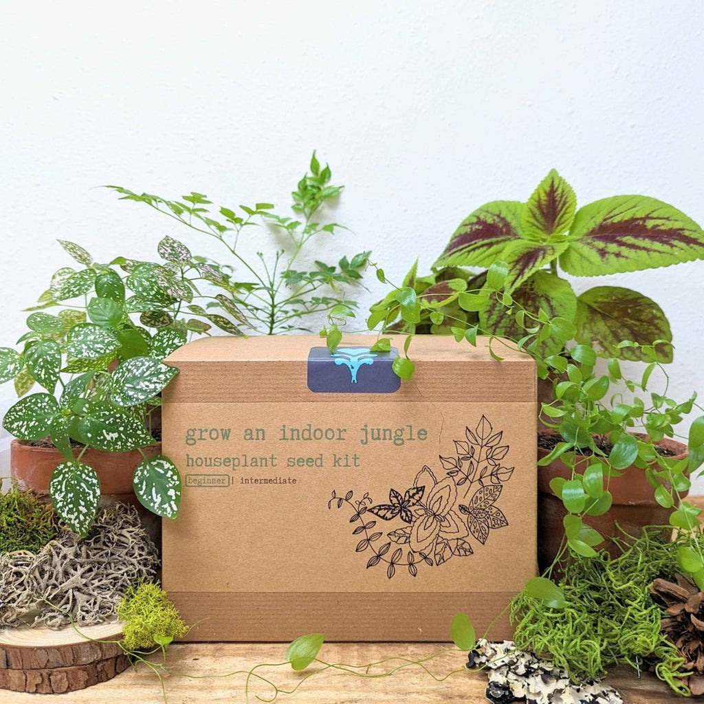 Houseplant seed kit box with grow-an-indoor-jungle branding and seed-starting materials
