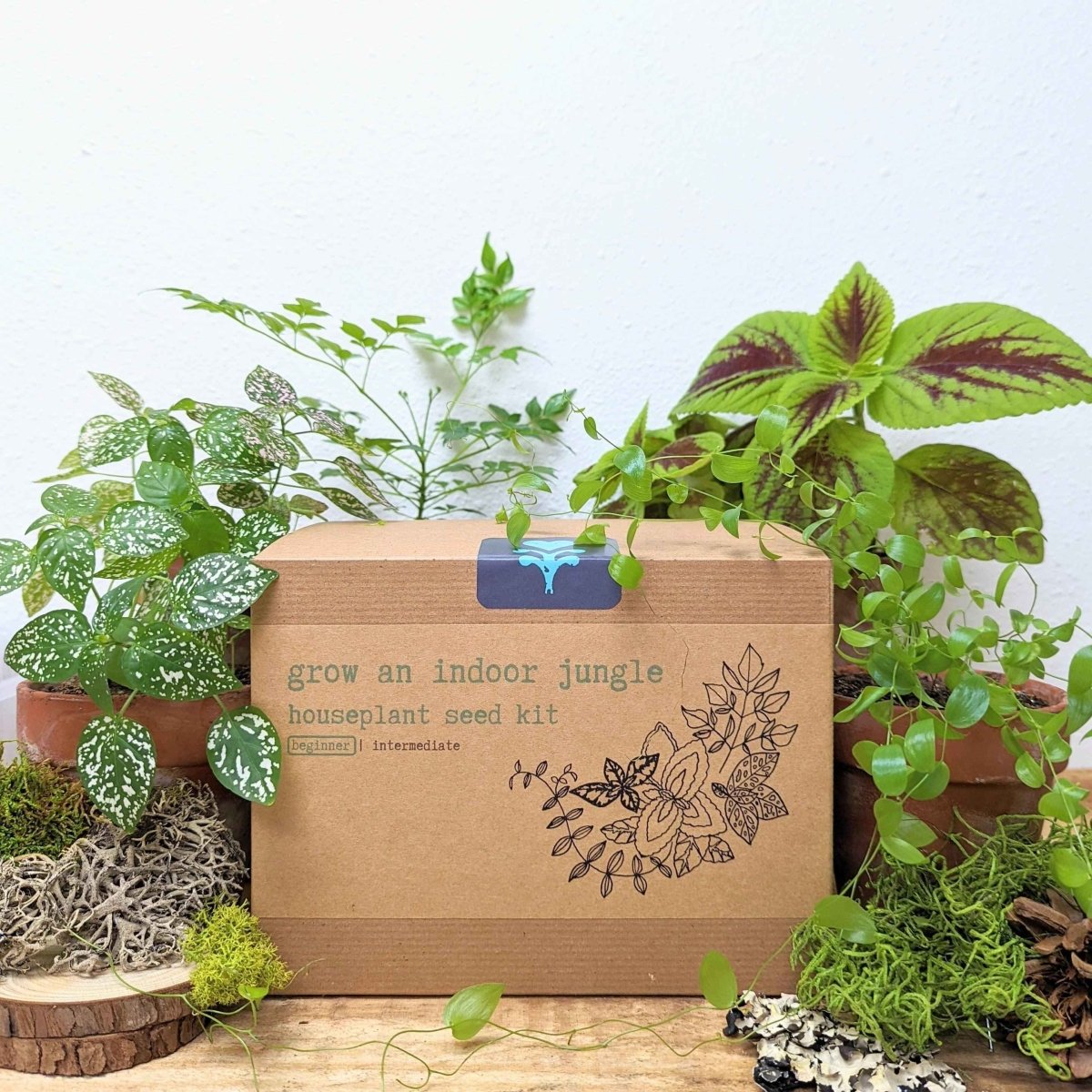 Houseplant seed kit box with grow-an-indoor-jungle branding and seed-starting materials