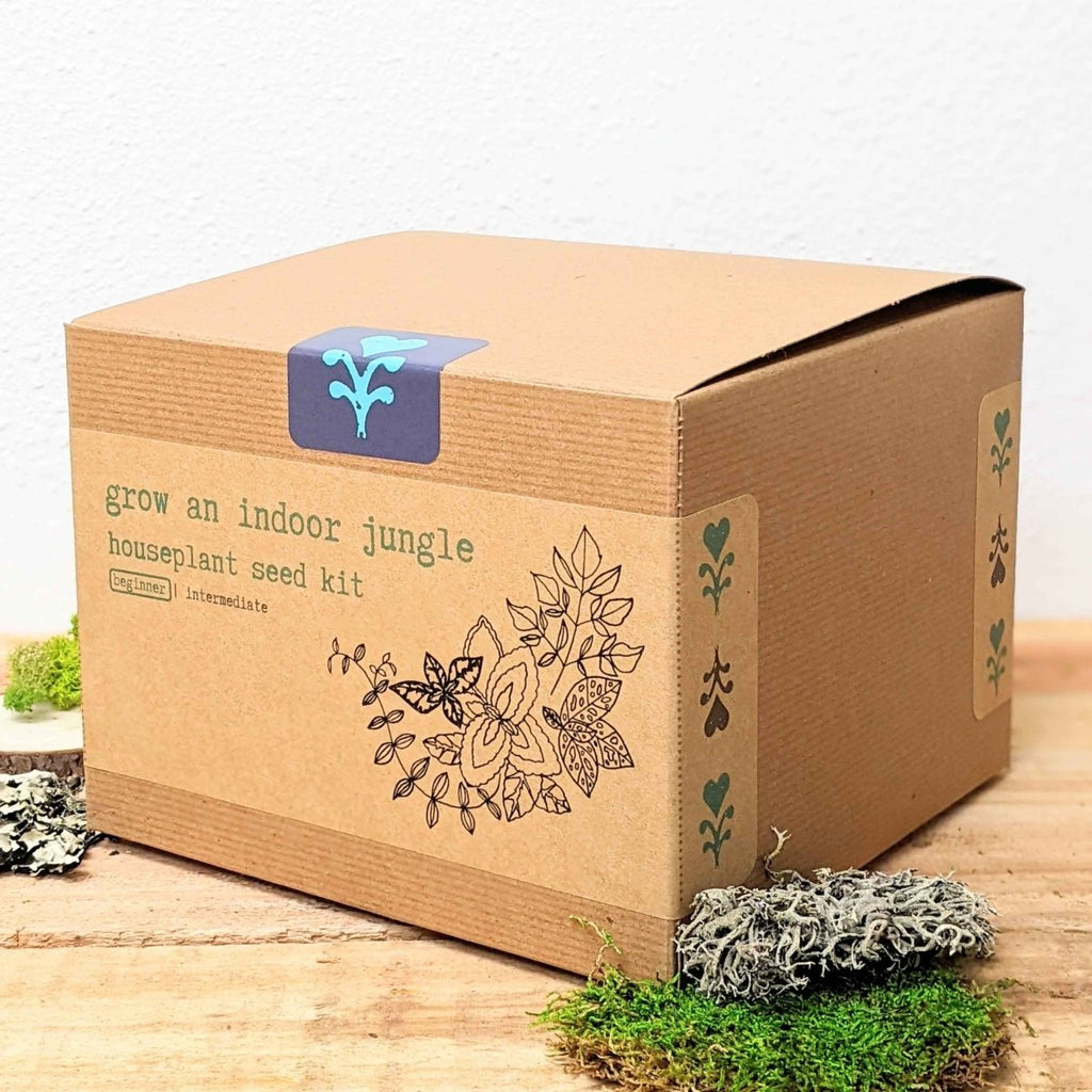 Houseplant seed kit in open box with seed packets and green seed-growing mats
