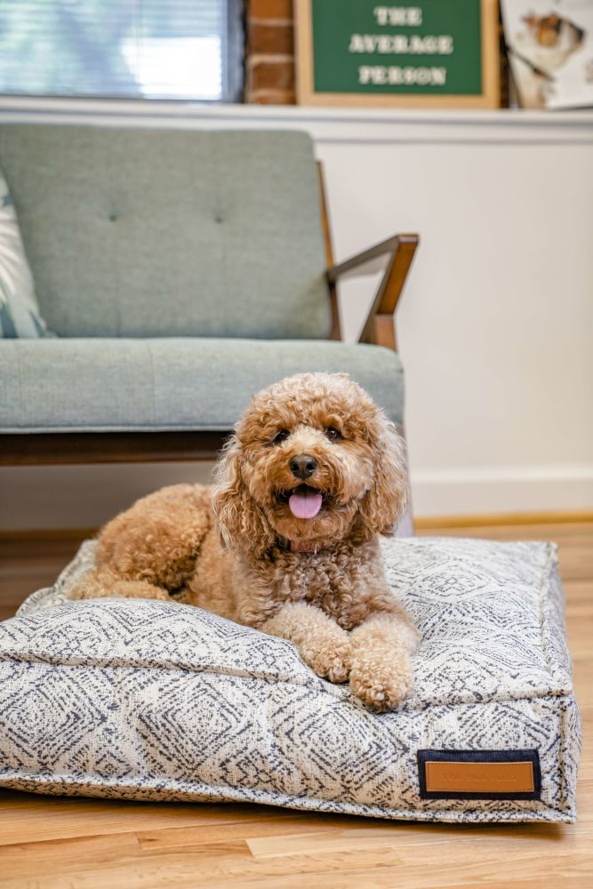 Lounger pet bed with gray zigzag patterned cover and bolster; small tan dog lounging