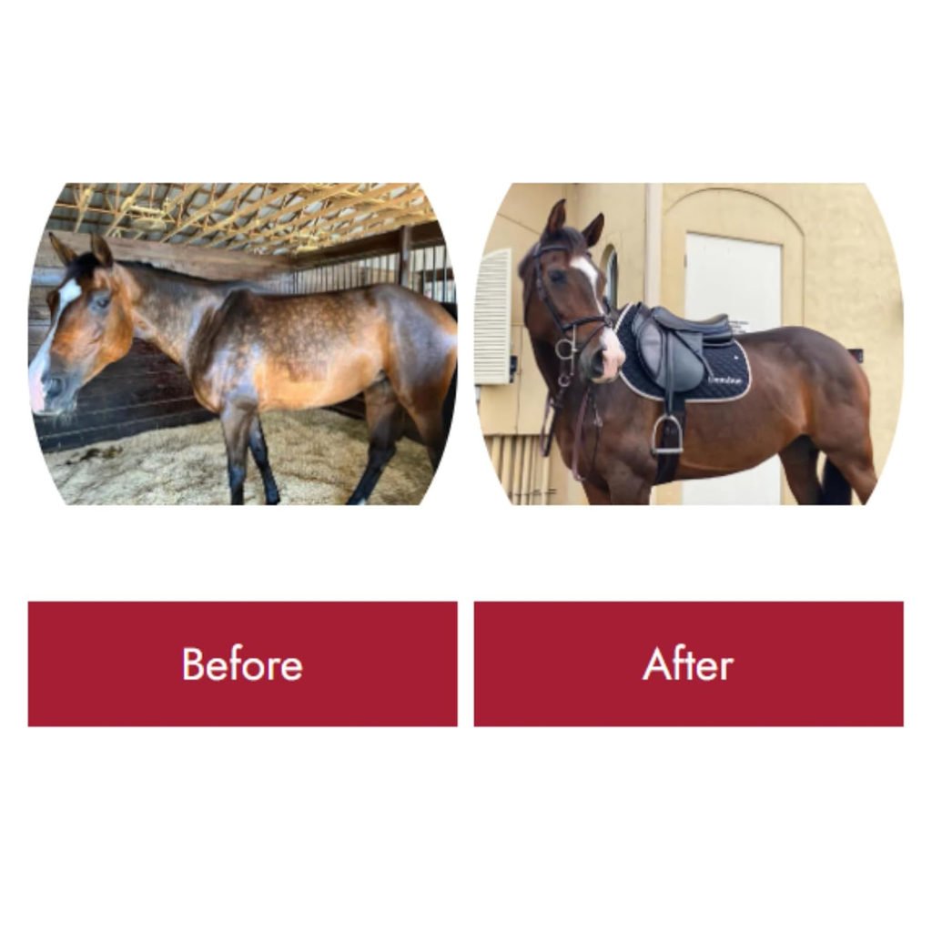 Before-and-after comparison showing horses with coat difference