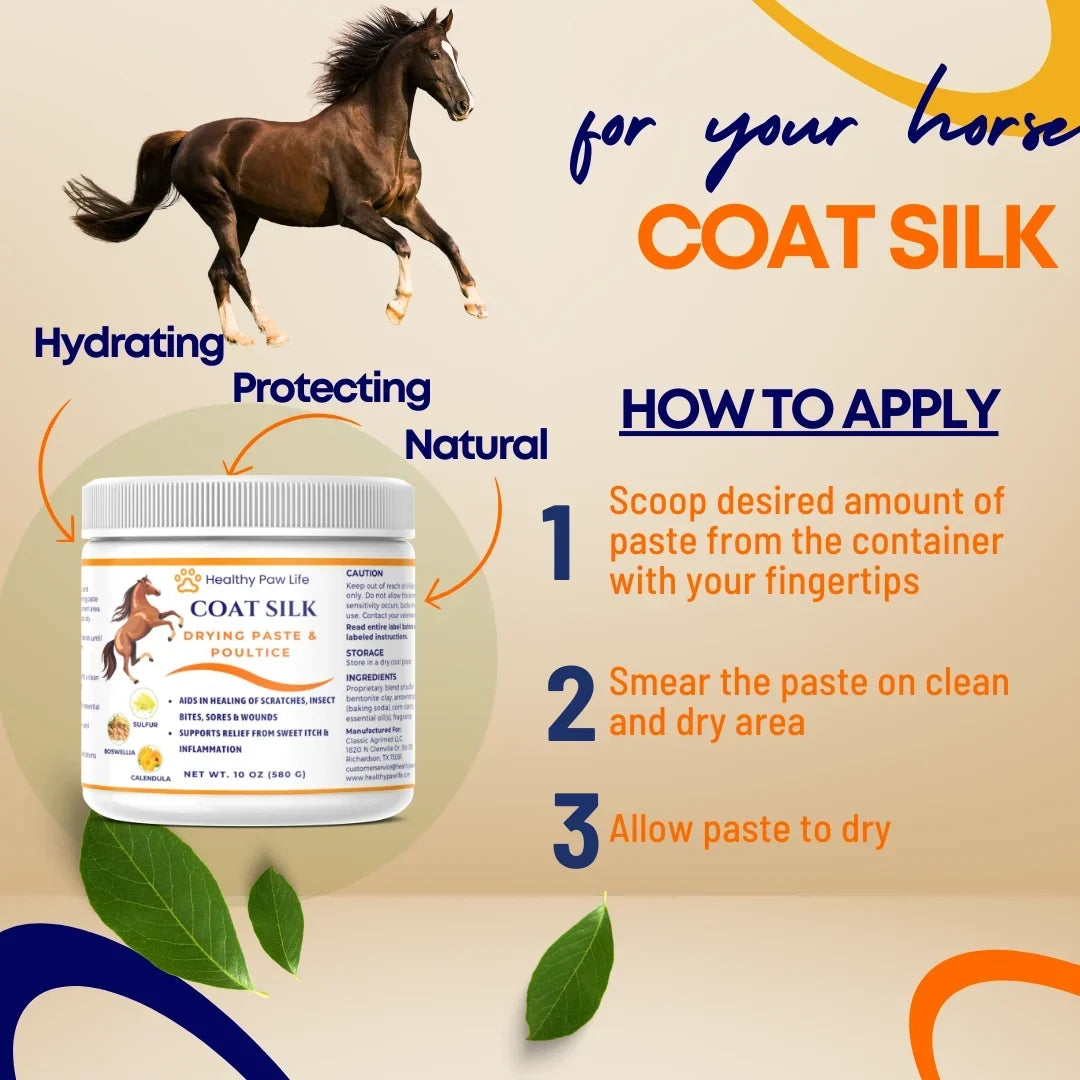 White jar of coat silk paste with how-to-apply steps graphic for a horse