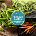 Heirloom Garden seed collection by Southern Seeds with 15 heirloom varieties