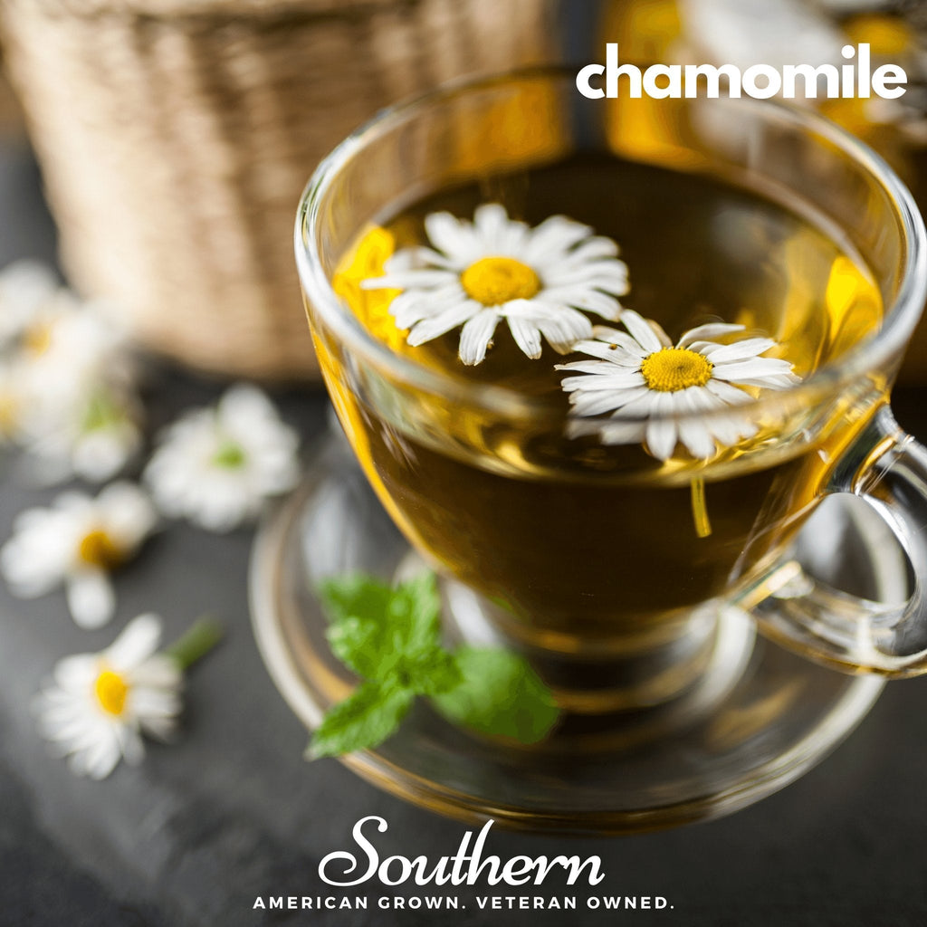 Herbal tea seed assortment with chamomile tea in glass cup and white daisies