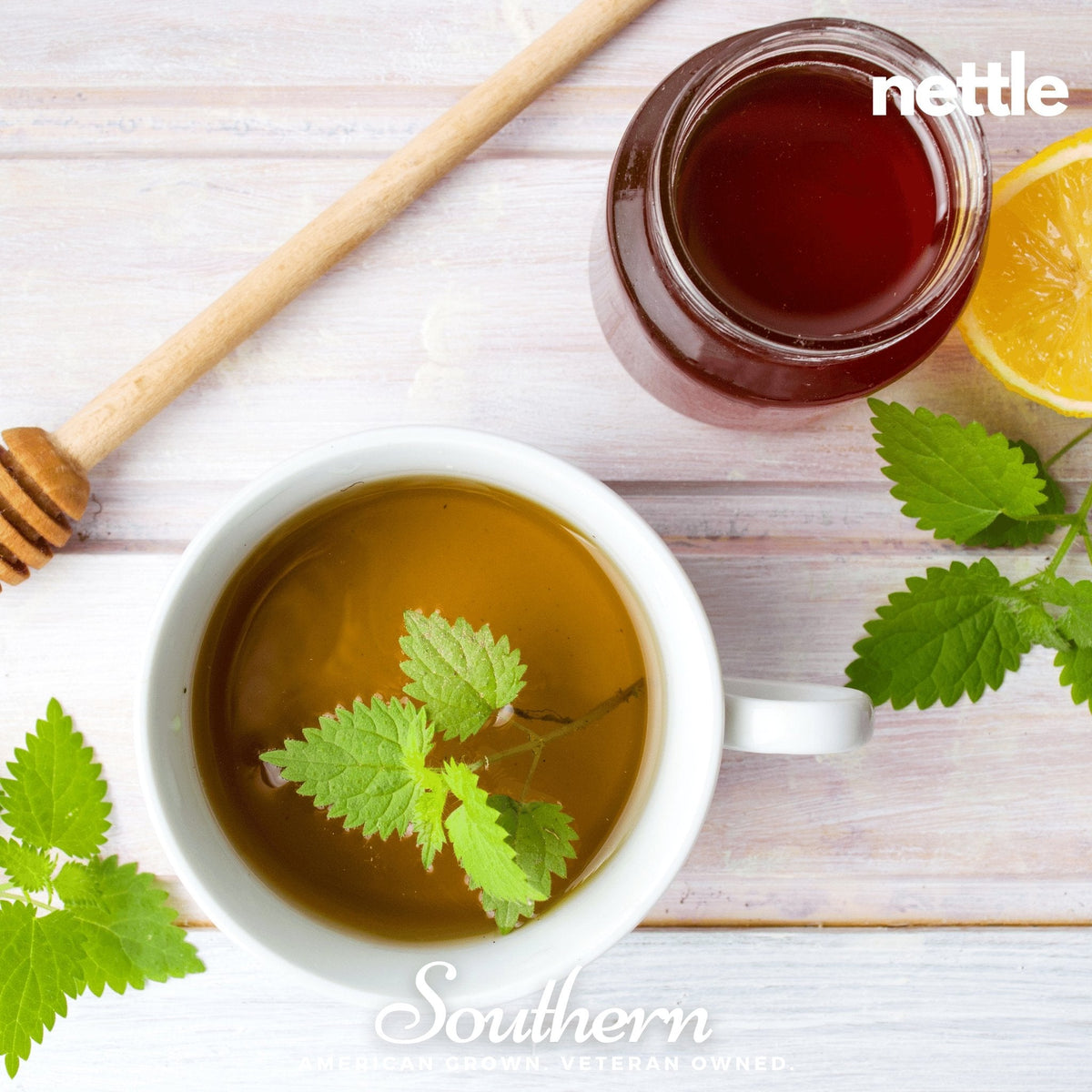 Herbal tea seed assortment with nettle tea in white cup and green nettle leaves