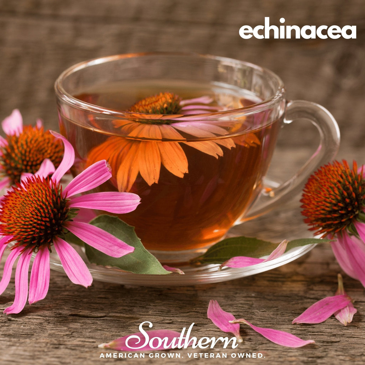 Herbal tea seed assortment with echinacea tea in glass cup and pink flowers