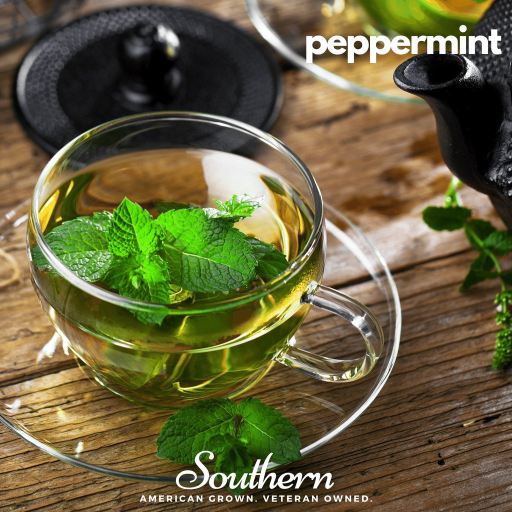 Herbal tea seed assortment with peppermint tea in glass cup and mint leaves