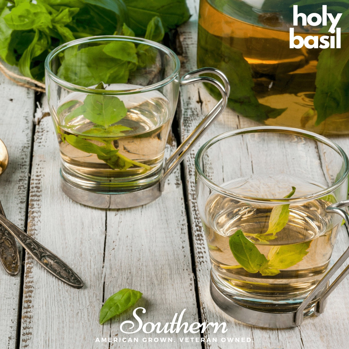 Herbal tea seed assortment with basil tea in glass cups and fresh green leaves