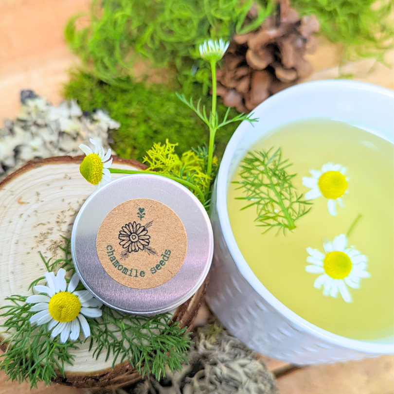 Round metal tin of chamomile seeds with printed label