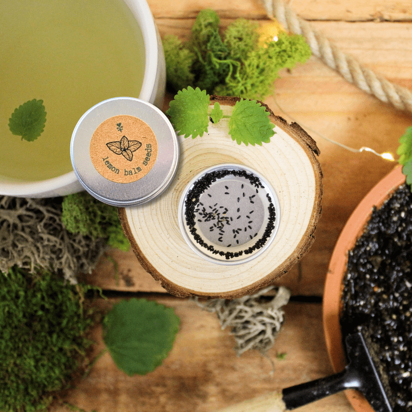 Round metal tin of lemon balm seeds with printed label