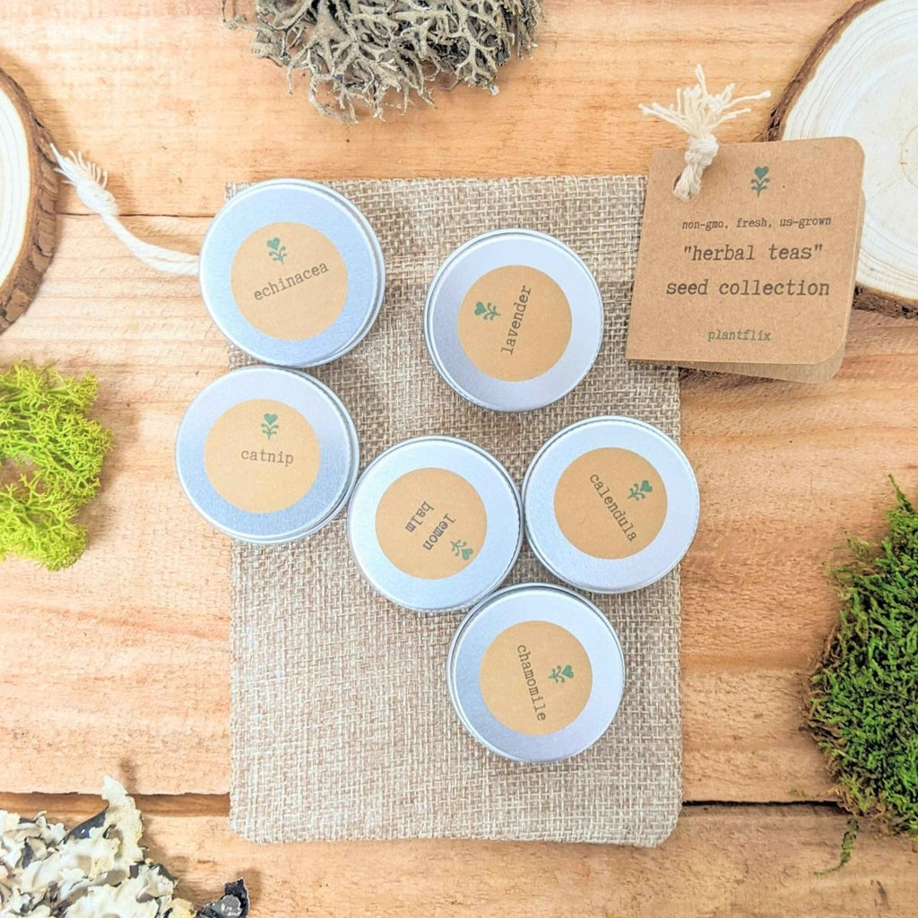 Herbal tea seed collection: five small round metal tins with printed seed labels