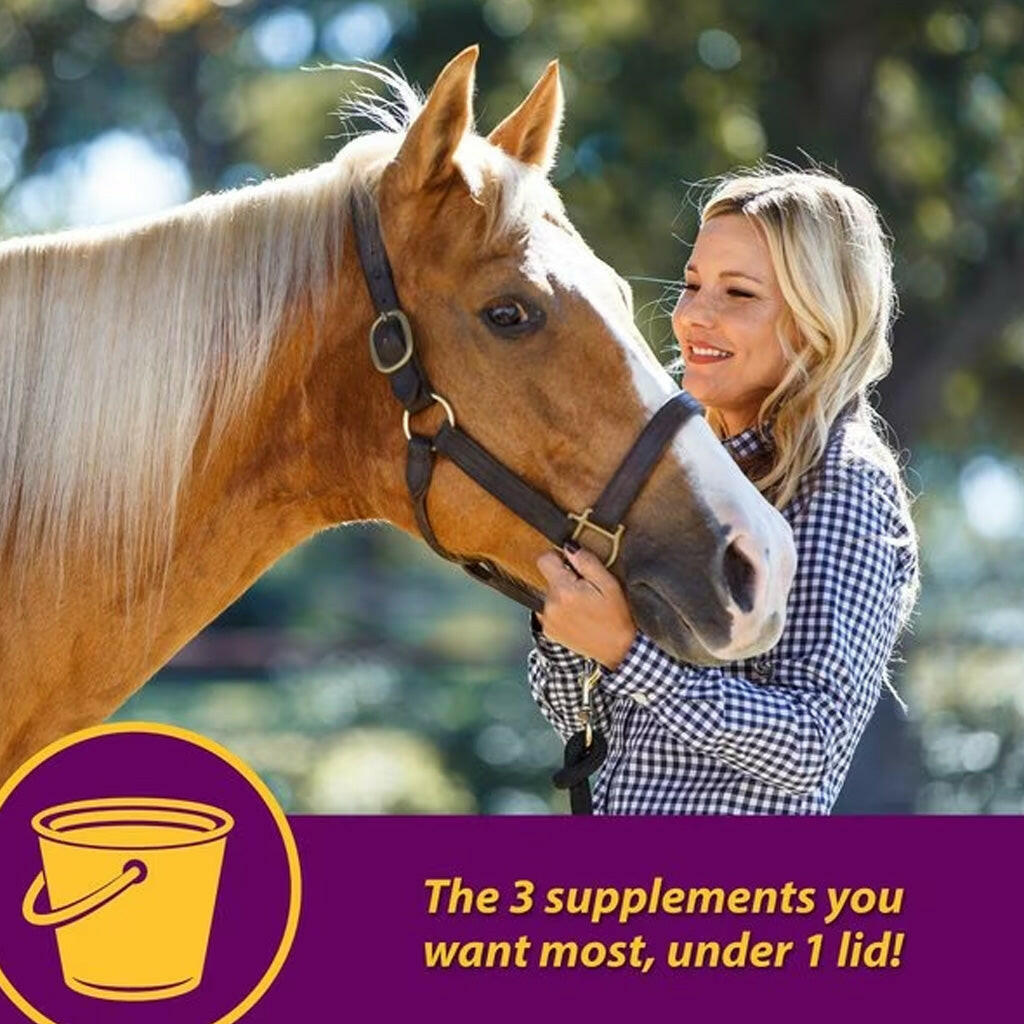 Horse with handler outdoors, joint hoof and coat supplement feature